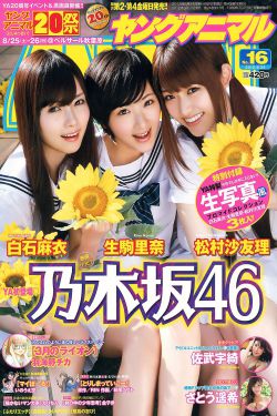 电视剧我本英雄